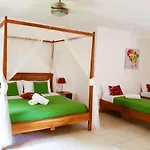 Casa Mapache