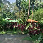 Cabinas Coco Lindo
