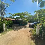 Coco Verde