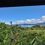 Drake Bay Greenleaf