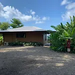 Drake Bay Greenleaf