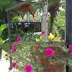 Hotel Pacifico Lunada
