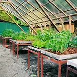 Selva Armonia Immersive Jungle Resort