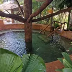 Hotel Palmera Real Hot Springs