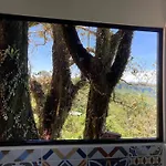 Nido Aracari