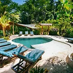 Selva Armonia Immersive Jungle Resort