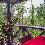 Casitas Ginger