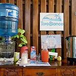 Toro Blanco