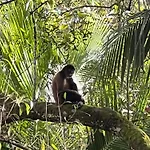 La Palapa Hut Nature Hostel