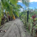 Miguel Surf Camp
