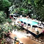 Casa Pura Vida Surf Hostel - Tamarindo Costa Rica