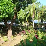 Life For Life Hostel Drake Bay Home Of Sea Turtle Marine Conservation Project Osa Peninsula Near San Josecito Beach