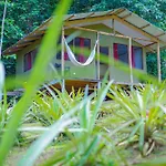 The Sunset Tucano Lodge