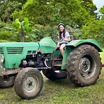Hotel Heliconias Nature Inn & Hot Springs