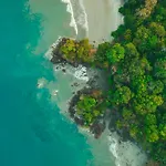 Jungle Vista Boutique Hotel