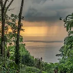 The Jungle Inn
