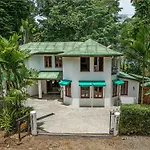 The Jungle Inn