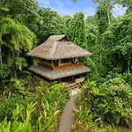 Copa De Arbol Beach & Rainforest Resort