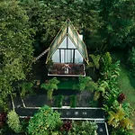 Mali\'S House
