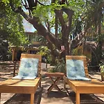 Hotel La Palapa