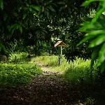 Hacienda Baru