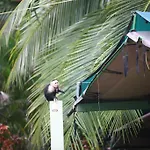 Rafiki Beach Camp