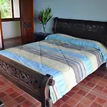 Pajaro Azul #4