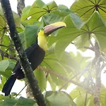 The Sunset Tucano Lodge