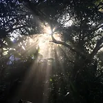 Osa Jungle Hostel
