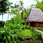 Bosque Del Cabo Rain Forest Lodge
