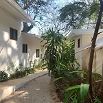 Driftwood Glamping & Boutique Hotel
