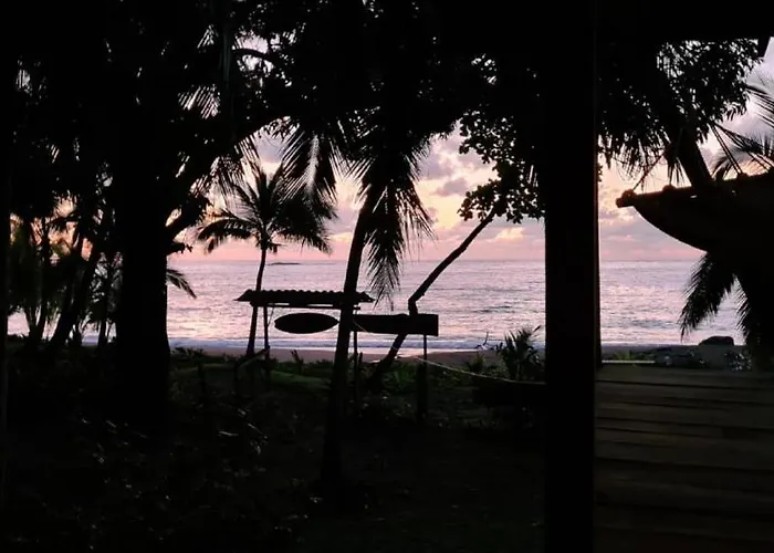 Life For Life Hostel Drake Bay Home Of Sea Turtle Marine Conservation Project Osa Peninsula Near San Josecito Beach