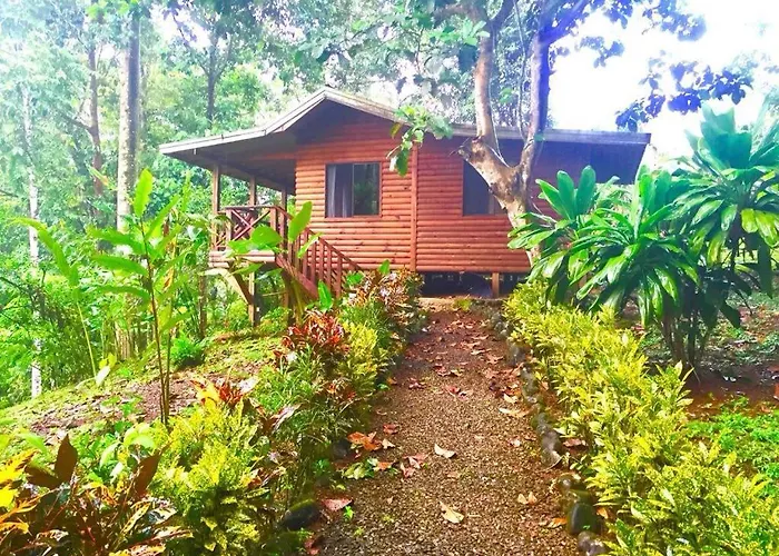 Casitas Ginger
