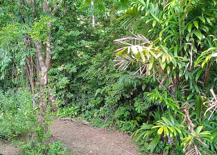 Cabanas Bajo Bosque Drake