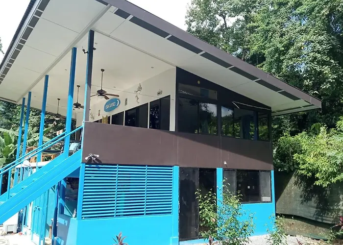 Modern Dreamhouse