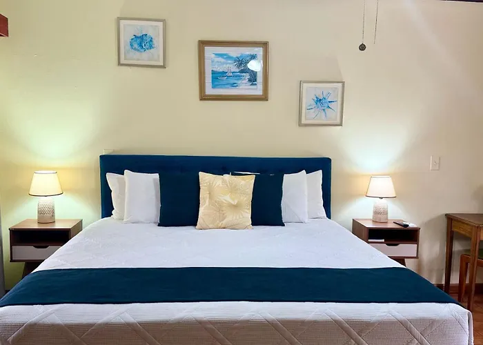 Hotel Delfin Playa Bejuco
