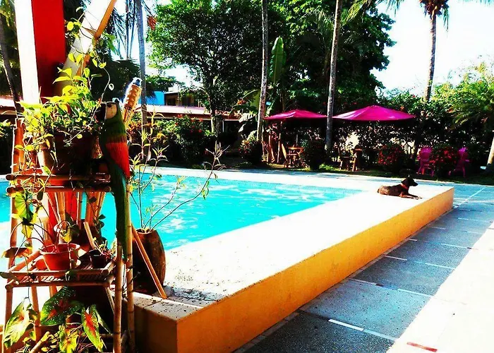 Hotel El Jardin