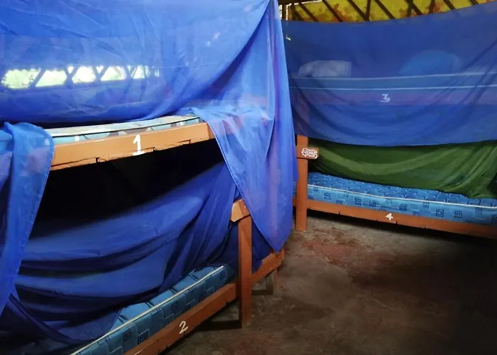 Piramys Hostel And Tours In Dominical