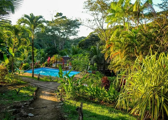Chilantro Resort & Hangout