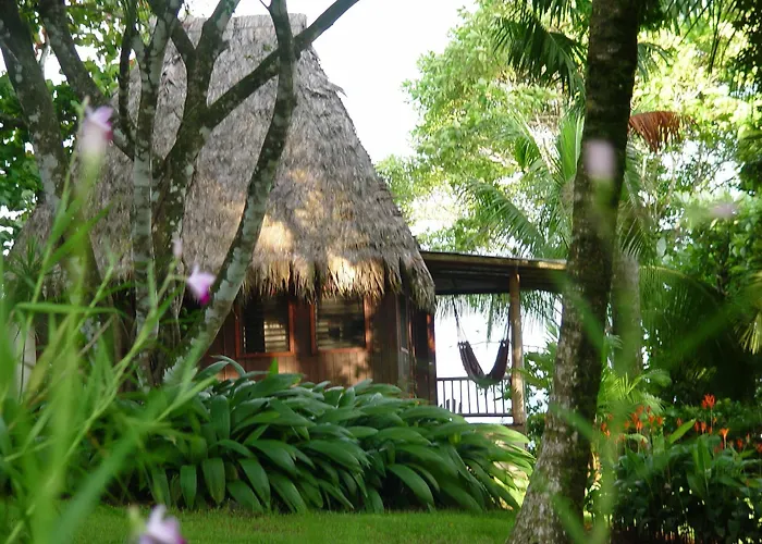 Bosque Del Cabo Rain Forest Lodge
