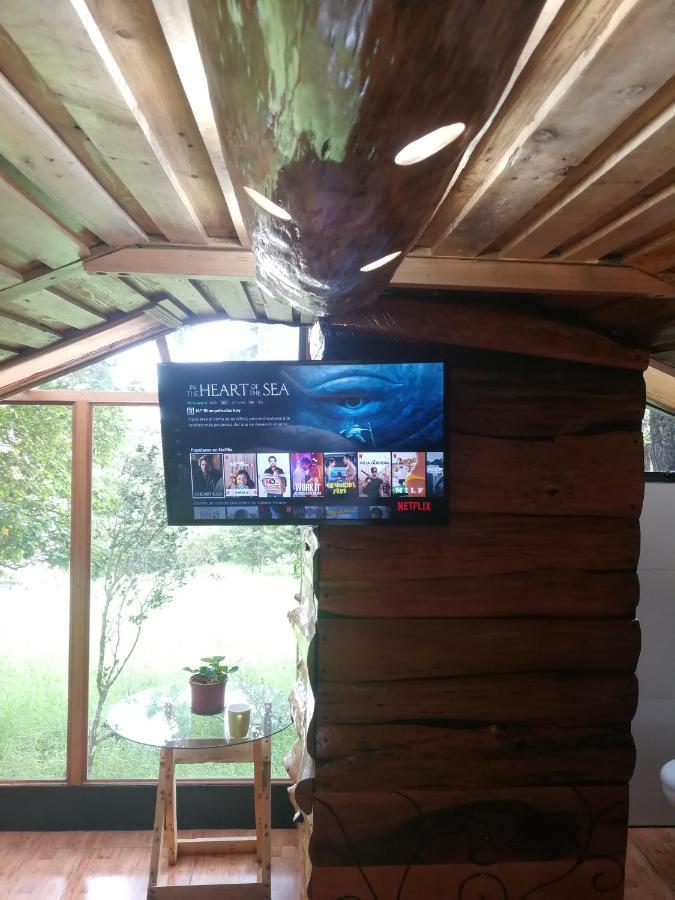 Nature House Guest house