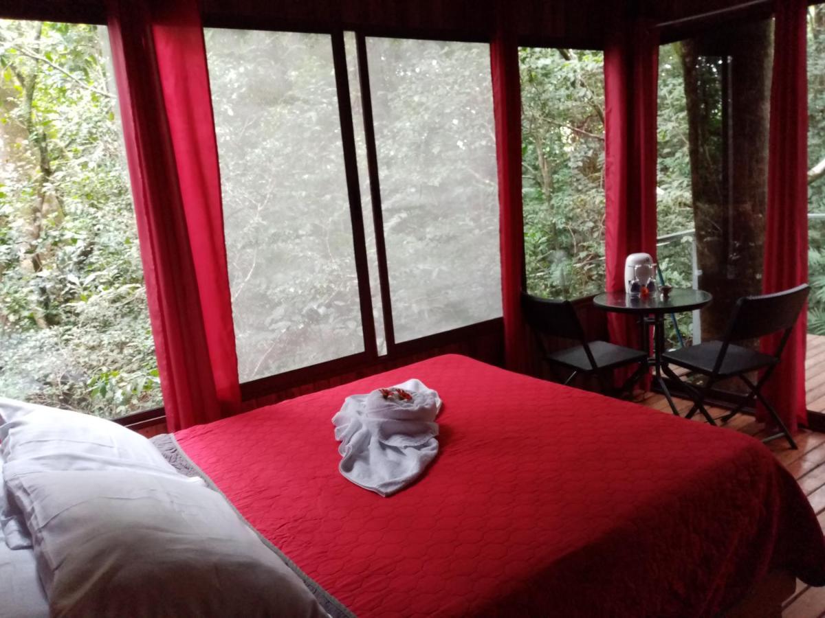 The Tree Bed & Breakfast