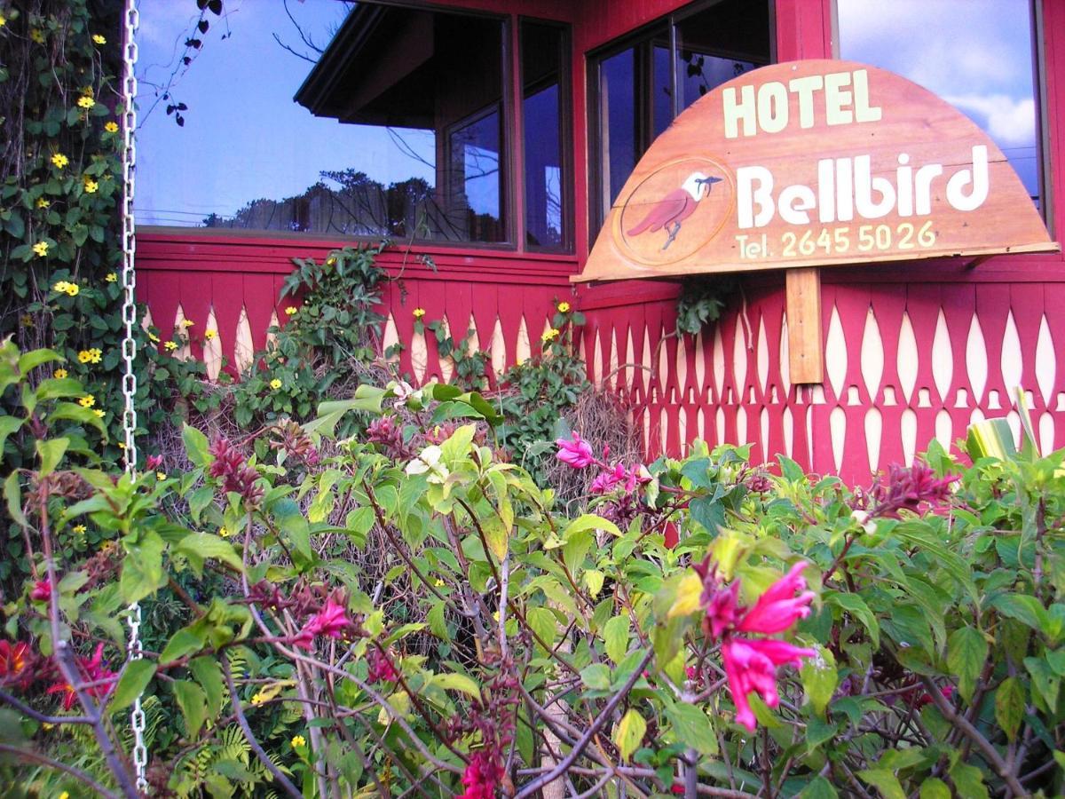 Bell Bird 2* Monteverde