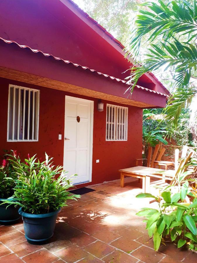 Casa Mapache Tamarindo