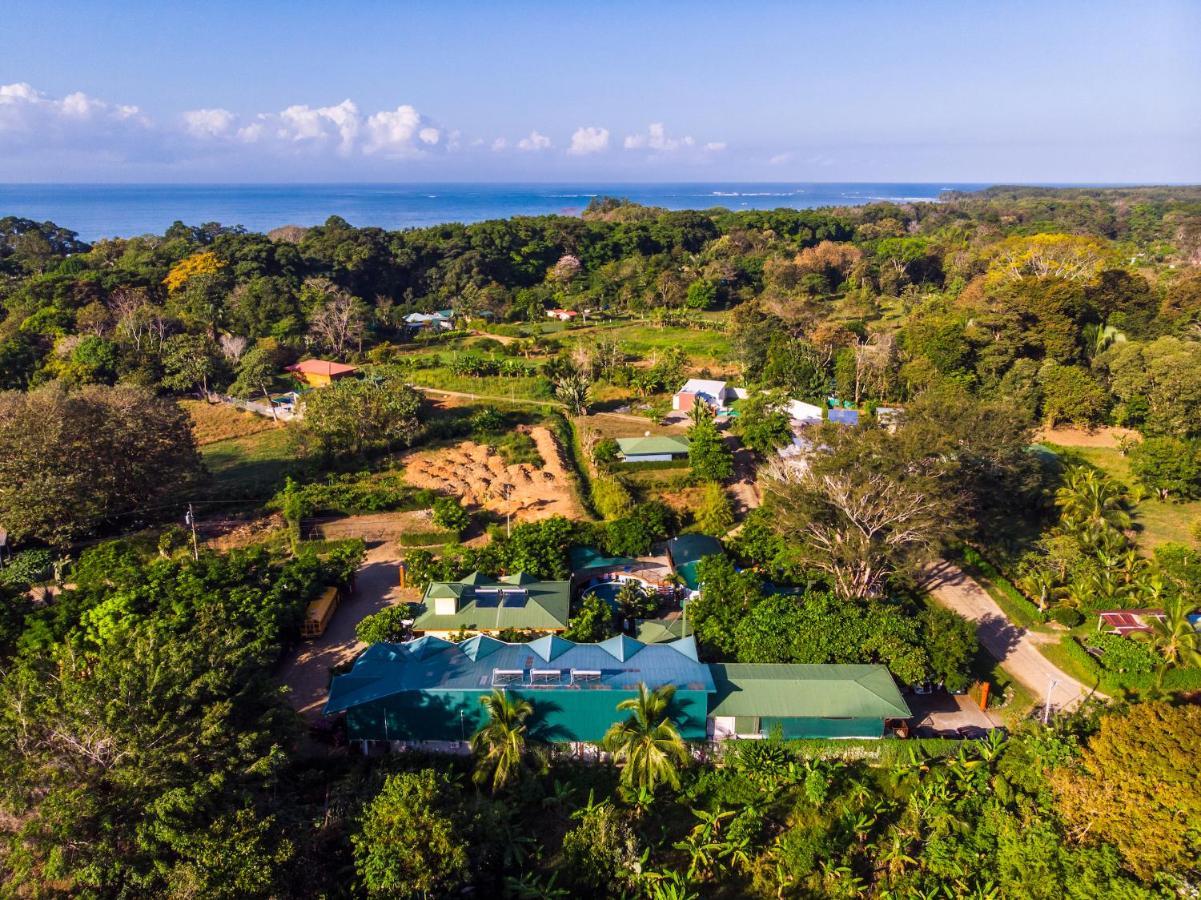 Hotel Hotel Cabinas El Tecal Uvita