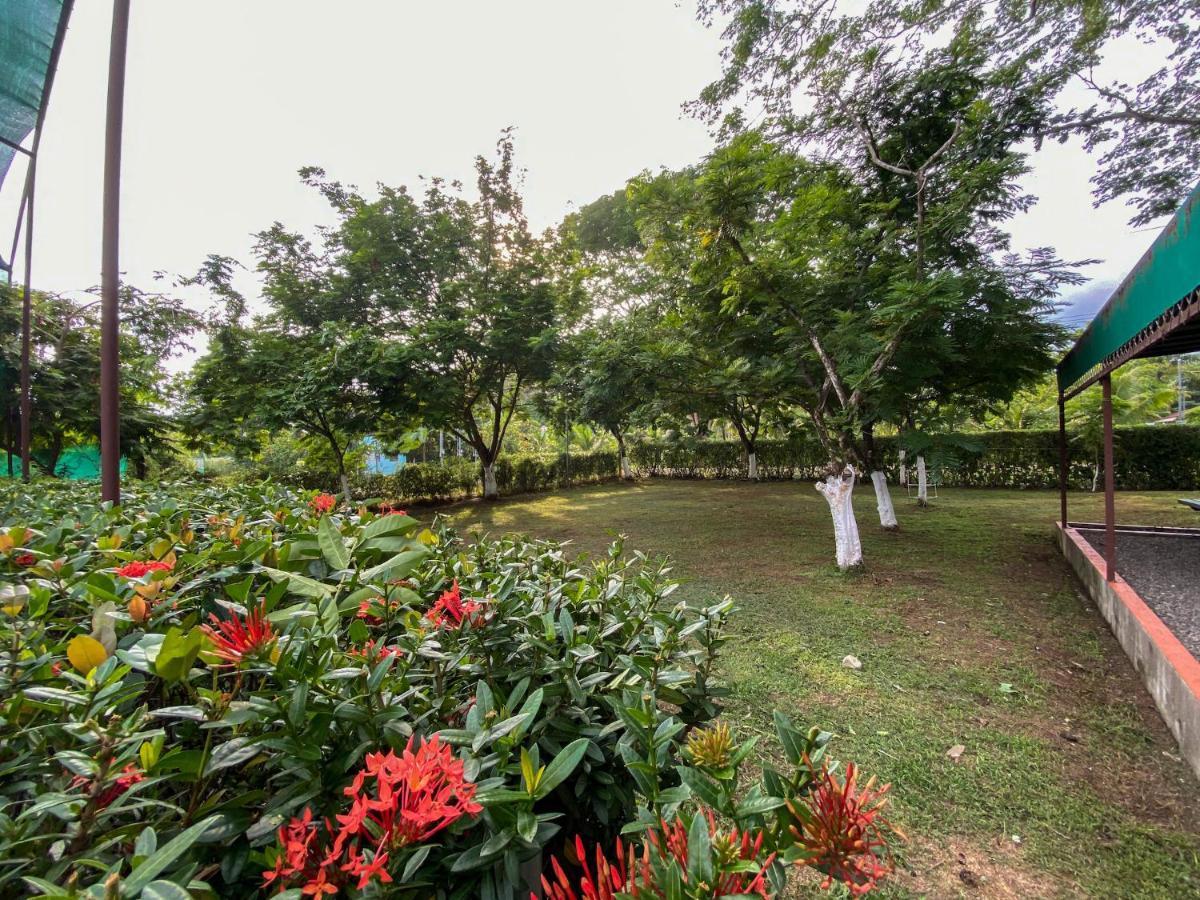 Hotel Hotel Cabinas El Tecal Uvita