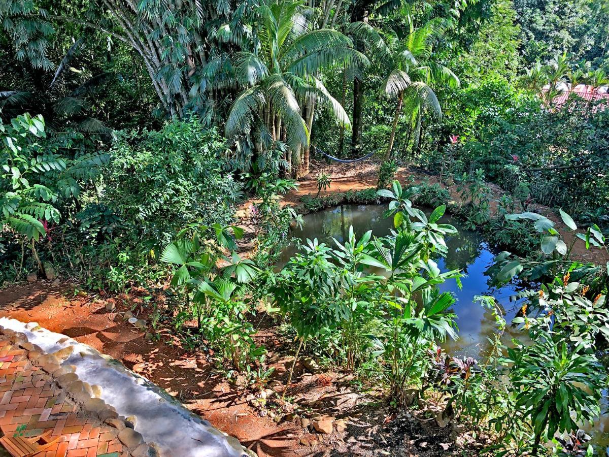 Cascada Verde Hostel Hostel