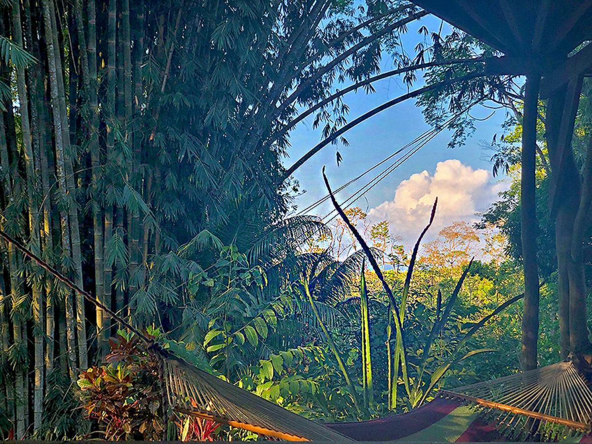 Cascada Verde Hostel Hostel