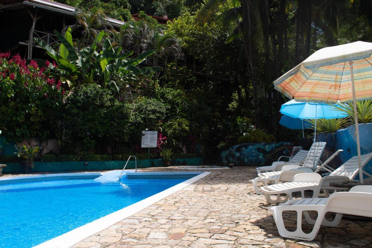 Hostel Plinio *