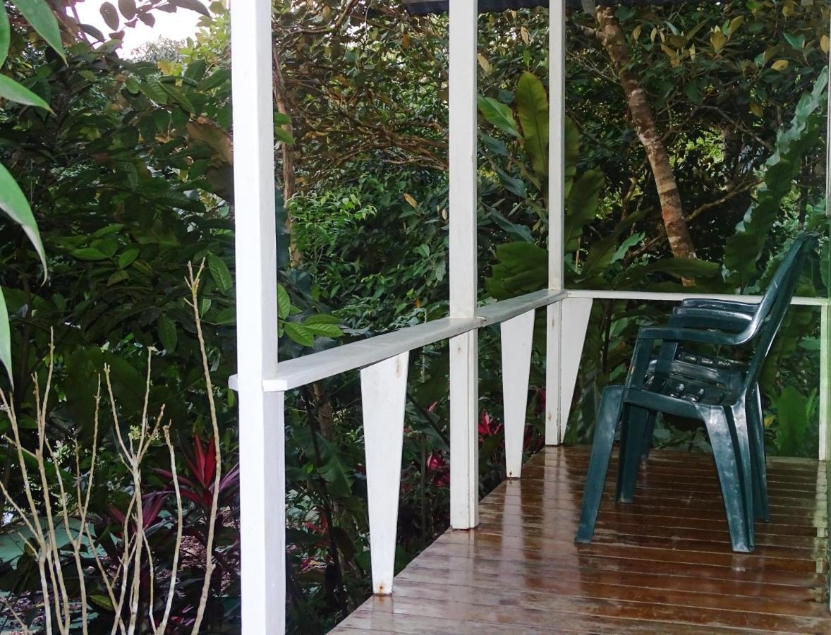 Casa Jade Hostel Drake Bay
